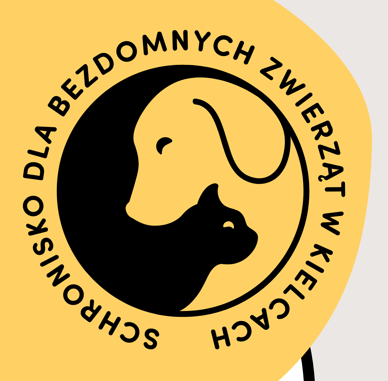 Shelter Homeless Animal Shelter in Kielce
