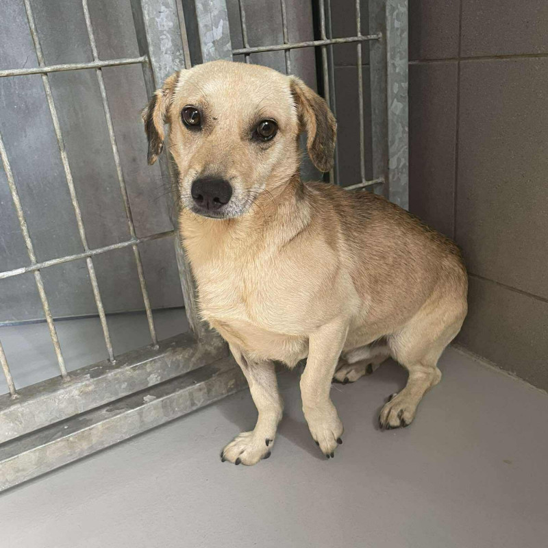Klonuś, Male · mix · 4 years