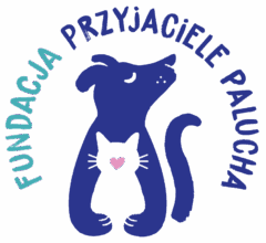 Fundacja Fundacja Przyjaciele Palucha