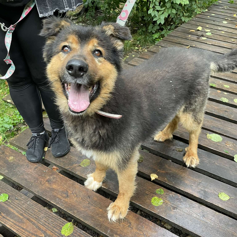 Andrzej, Male · mix · 9 years