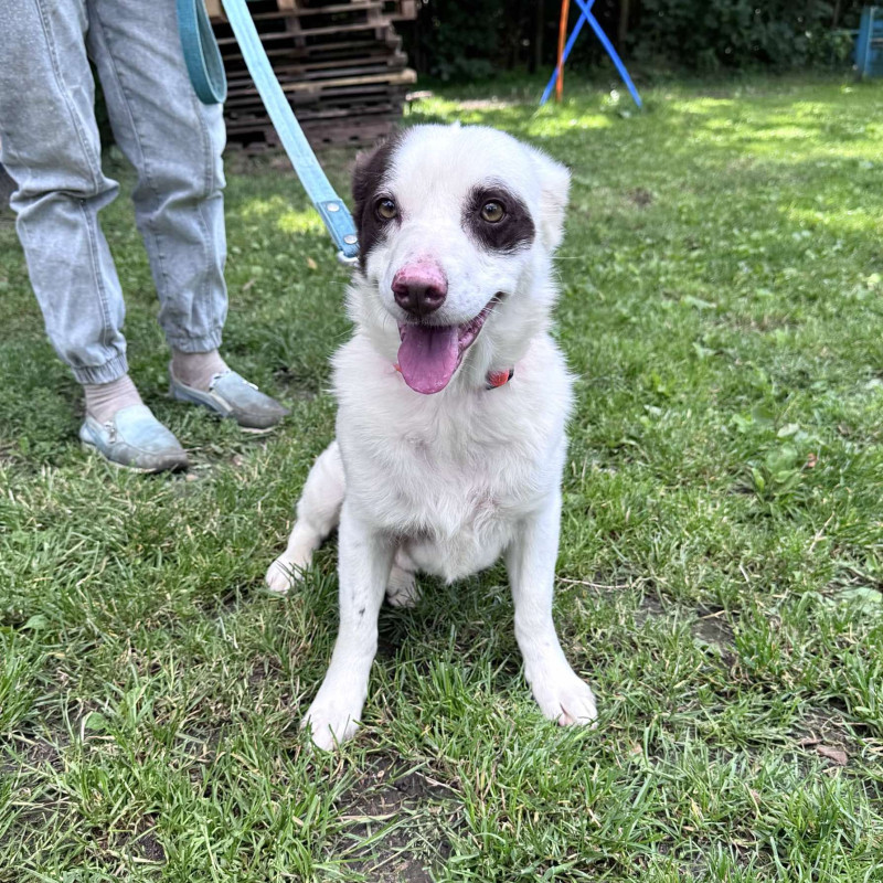 Maksiu, Male · mix · 4 years