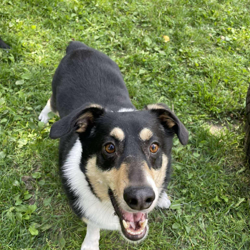 Fokus, Male · mix · 5 years